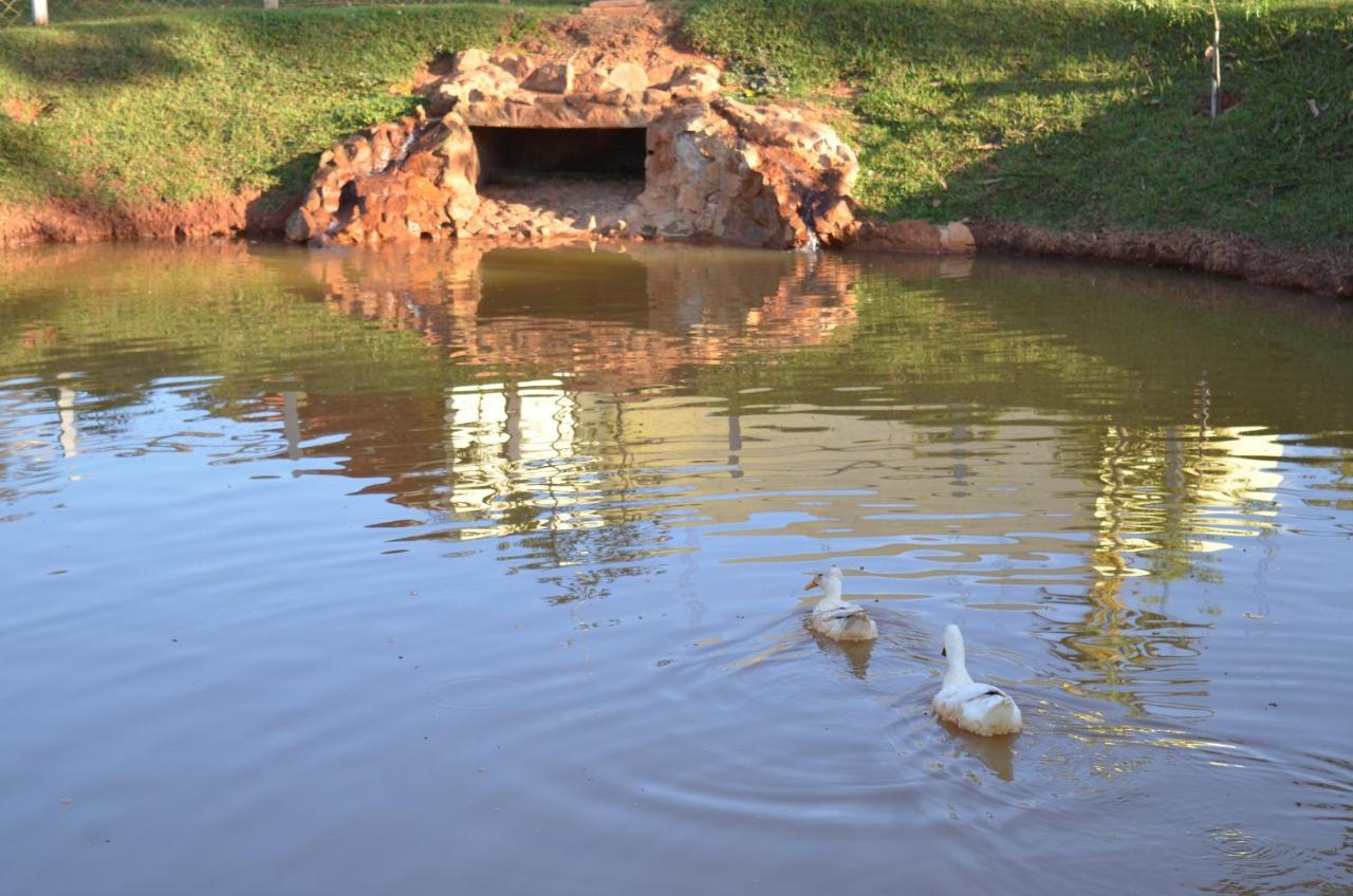 Pousada Coqueiro Verde Minas Gerais Mateus Leme Eksteriør bilde